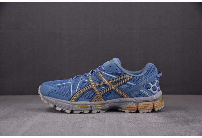 a.*sic*s g*el 1011b109-400