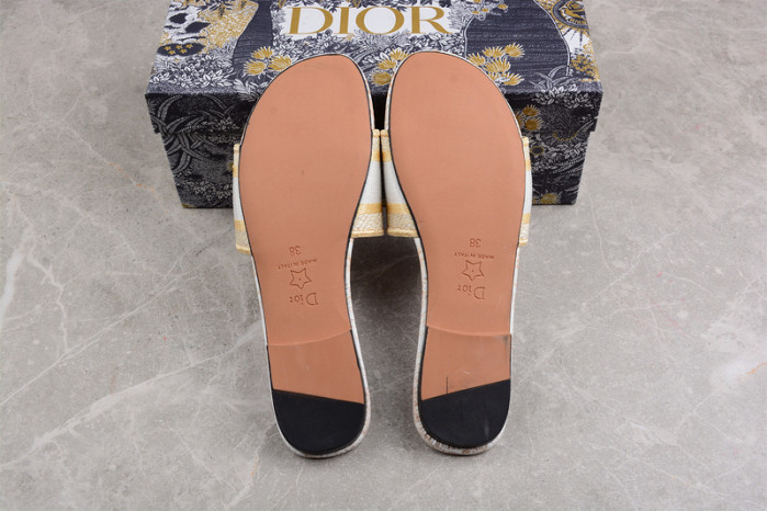 D*or slides ds-006