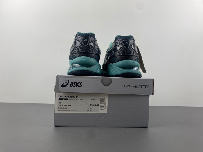 a.*sic*s g*el 1201a922-300