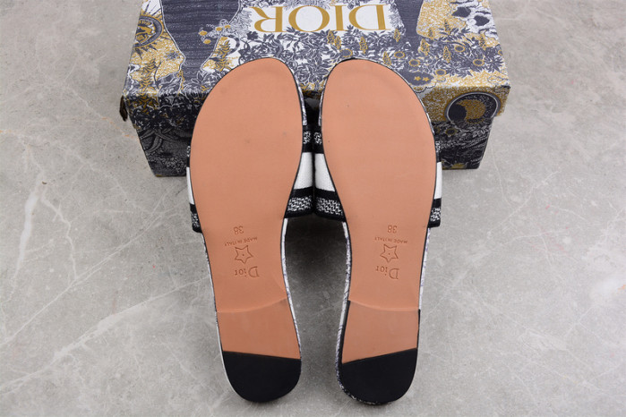 DIOR SLIDES DS-001