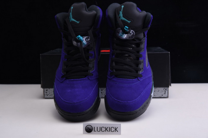 jordan 5 retro alternate grape 136027-500
