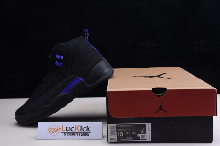 jordan 12 retro black dark concord ct8013-005