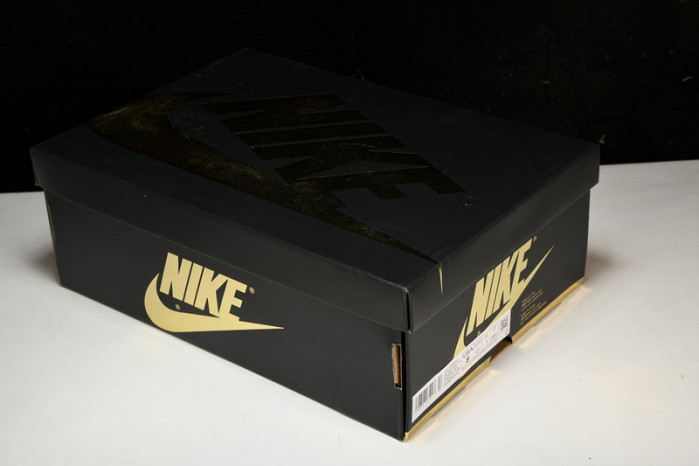 air jordan 1 retro high og "palomino" dz5485-020