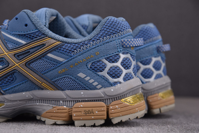 a.*sic*s g*el 1011b109-400